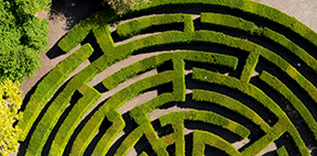 Maze